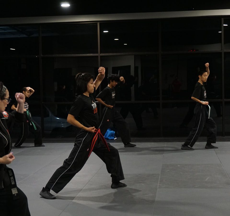 taekwondo for adults and teens